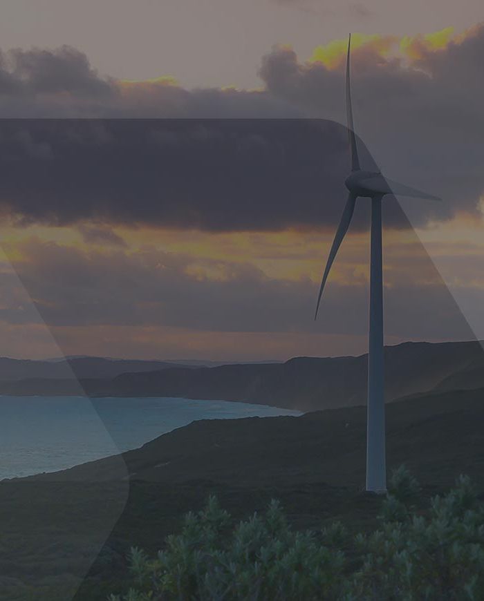 A coastal wind farm generating renewable energy